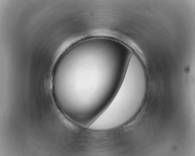 X0000092221376200709140913