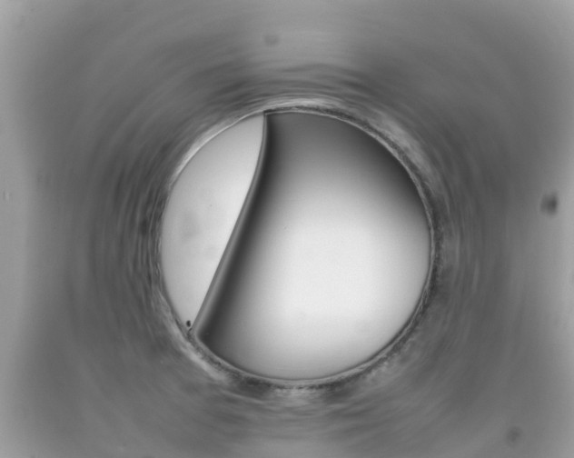 X0000092221377200709140913