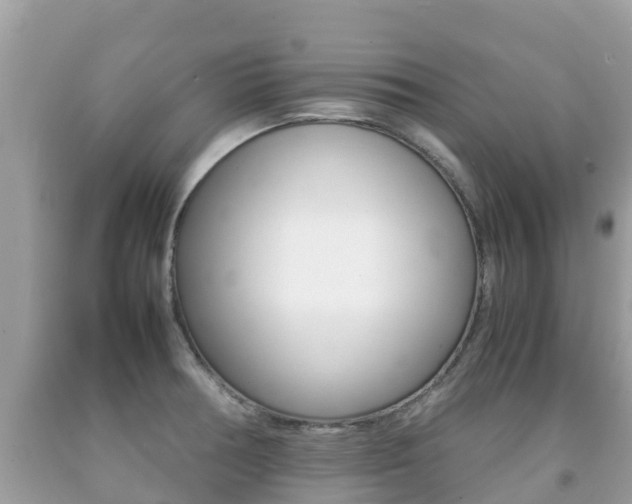 X0000092221378200709140912