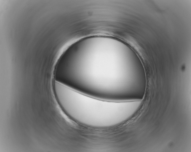 X0000092221379200709140912