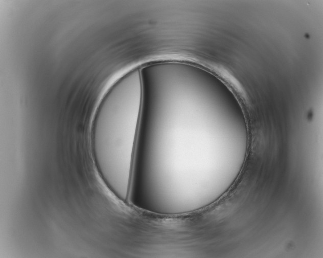 X0000092221380200709140912
