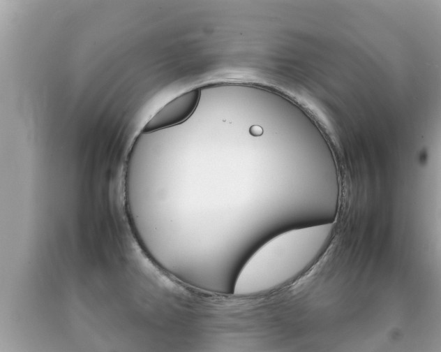 X0000092221382200709140912