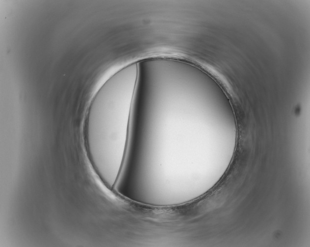 X0000092221383200709140912