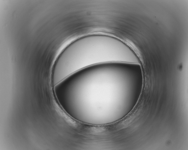 X0000092221384200709140912