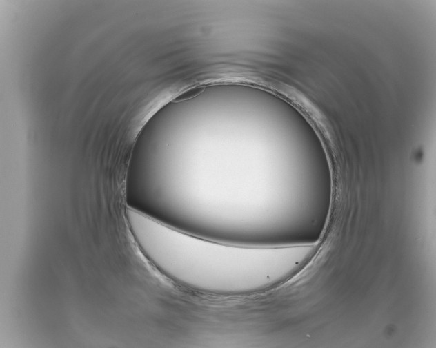 X0000092221385200709140912