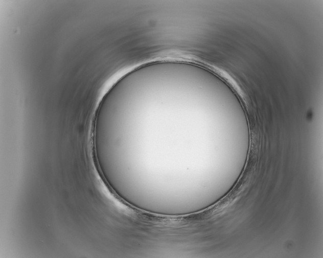 X0000092221387200709140912