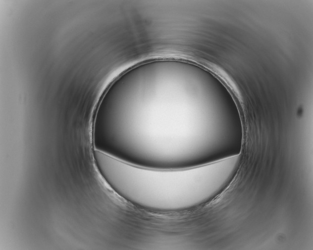 X0000092221388200709140912