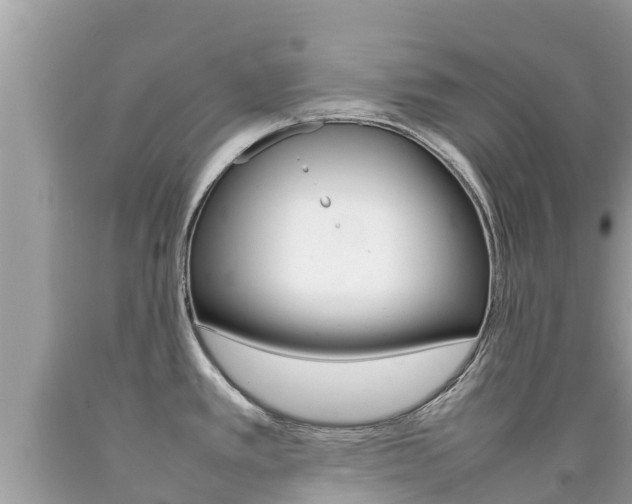 X0000092221389200709140912