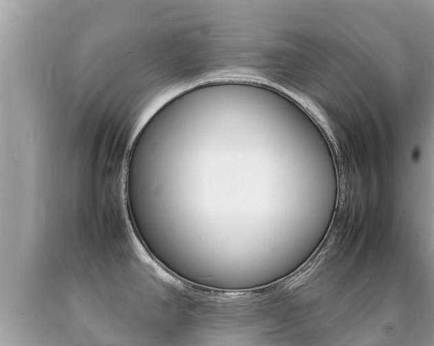 X0000092221390200709140912