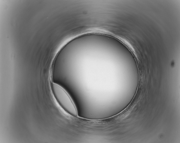 X0000092221391200709140912