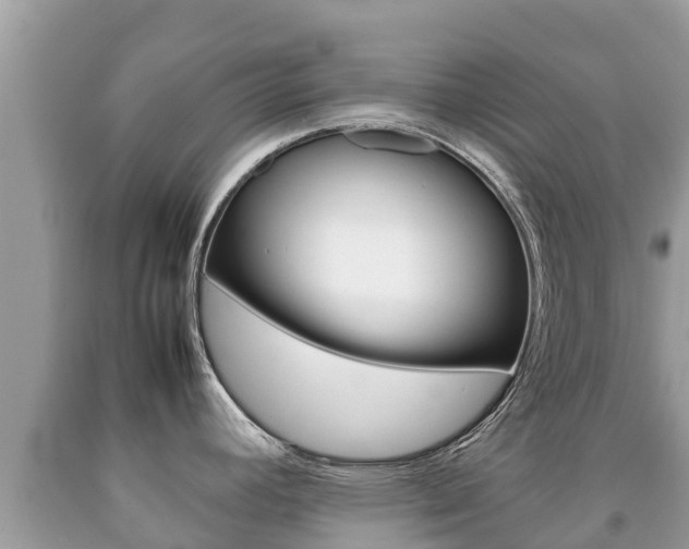 X0000092221392200709140912