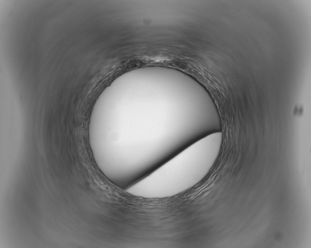 X0000092221393200709140912
