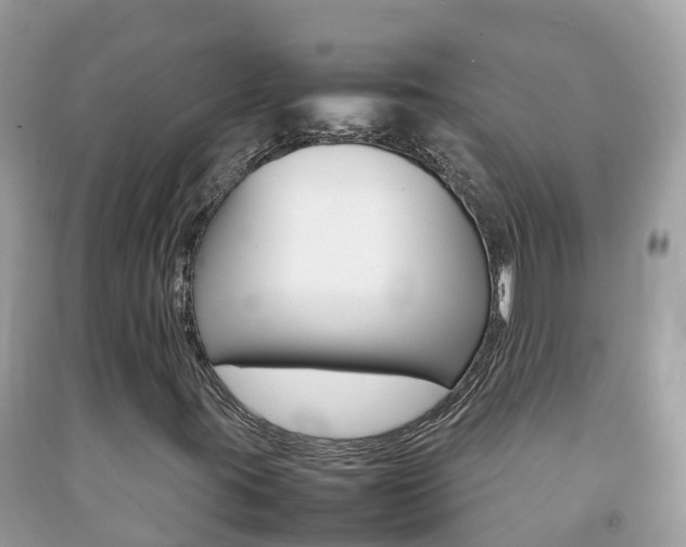 X0000092221395200709140912