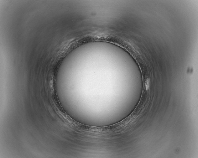 X0000092221396200709140912