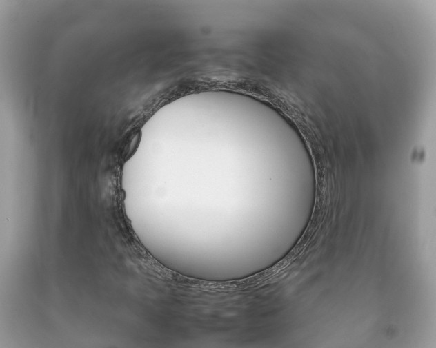 X0000092221397200709140912