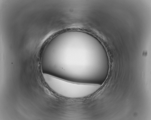 X0000092221400200709140912