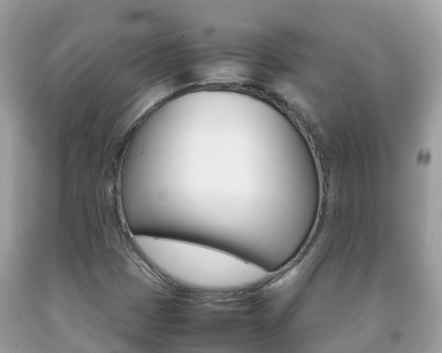 X0000092221401200709140912