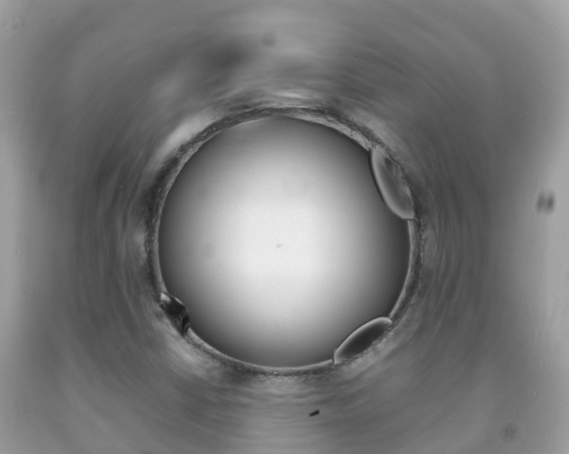 X0000092221402200709140912