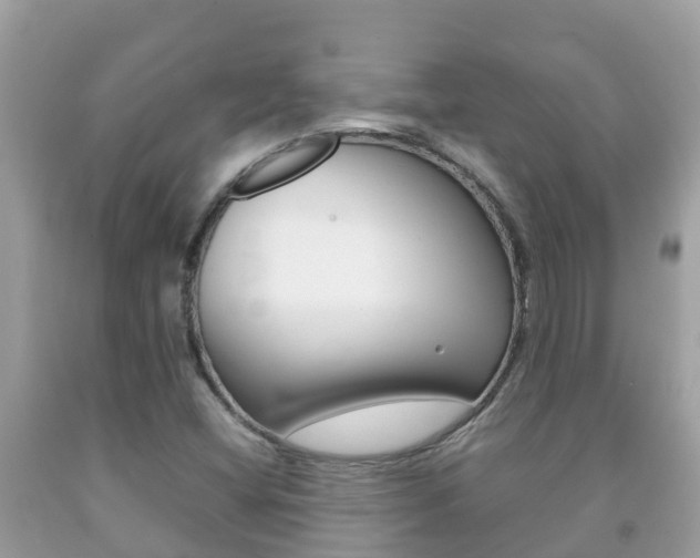 X0000092221404200709140912