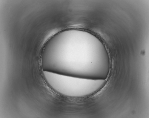 X0000092221405200709140912