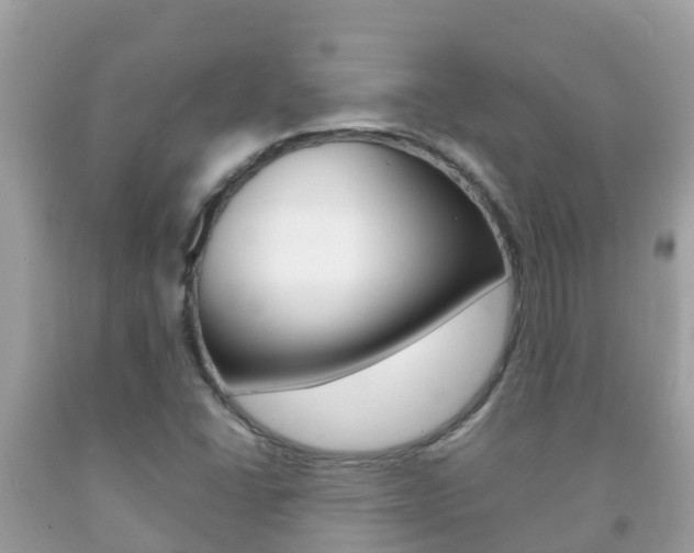 X0000092221406200709140912