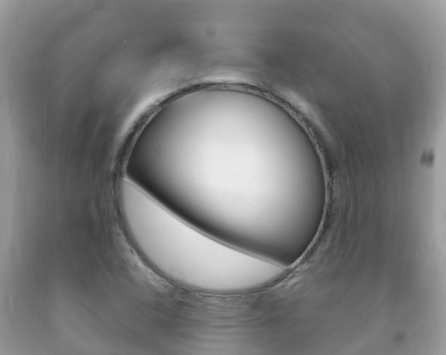 X0000092221408200709140912