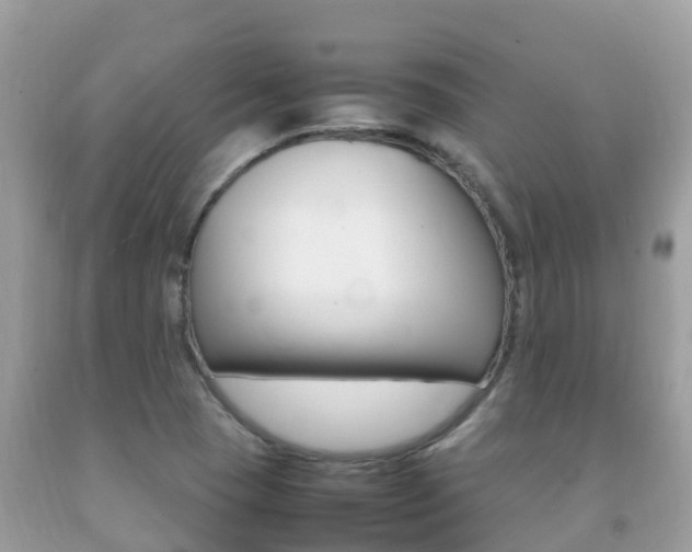 X0000092221409200709140912