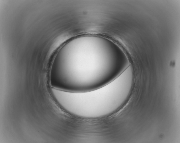 X0000092221410200709140912