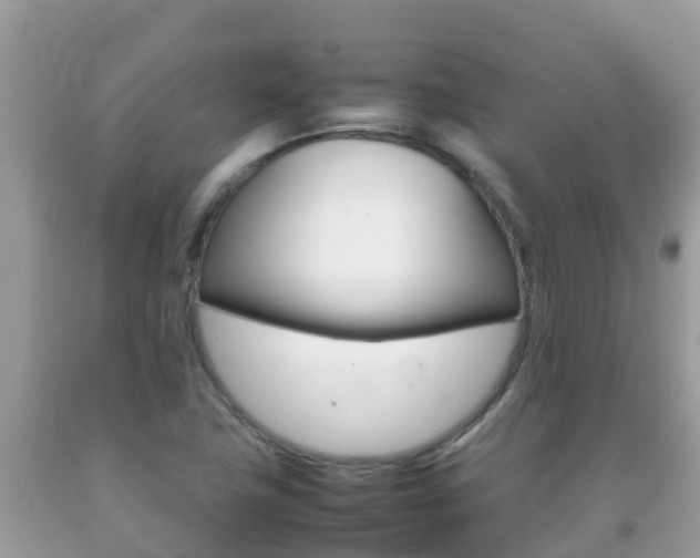 X0000092221411200709140912
