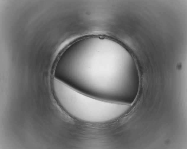 X0000092221412200709140912