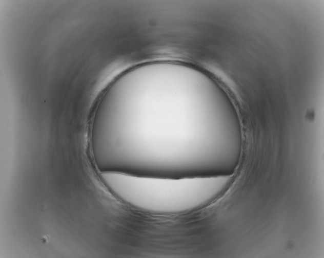 X0000092221415200709140912