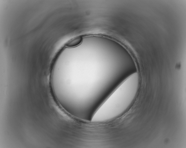 X0000092221416200709140912