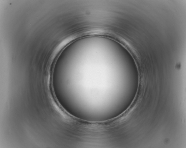 X0000092221418200709140912