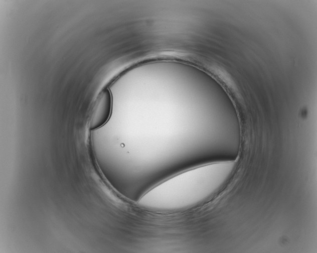 X0000092221420200709140912