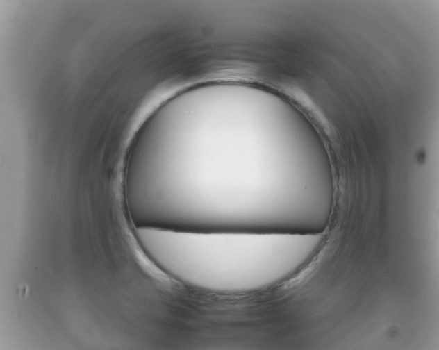 X0000092221421200709140912