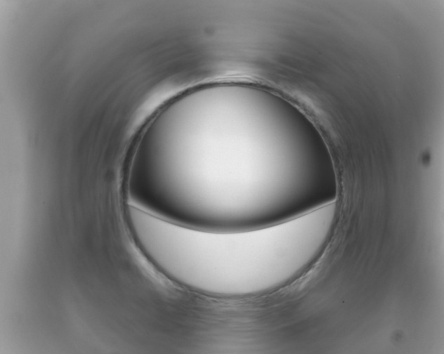 X0000092221422200709140912