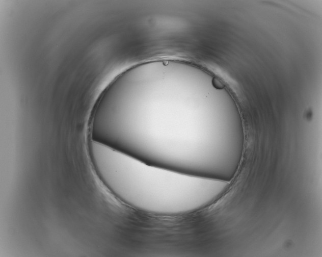 X0000092221423200709140912