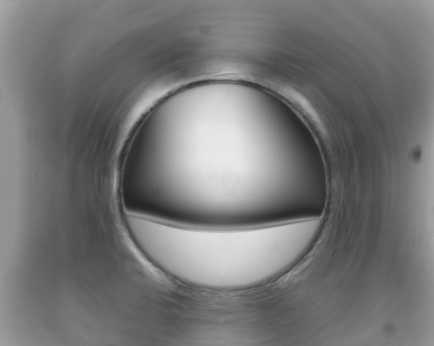 X0000092221424200709140912