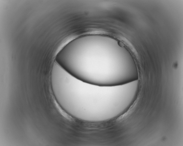 X0000092221425200709140912