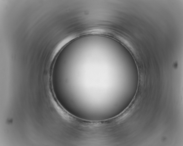 X0000092221426200709140912