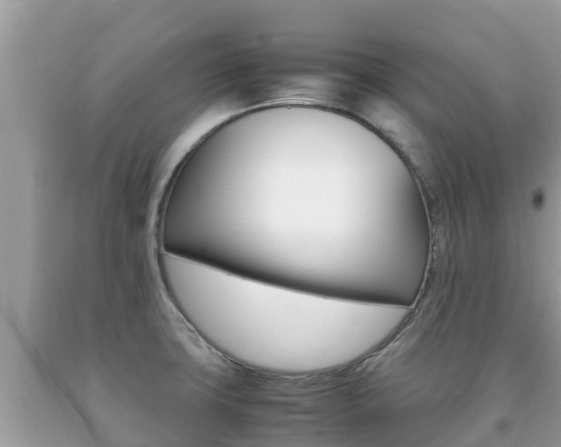 X0000092221427200709140912