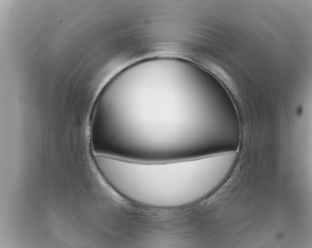 X0000092221428200709140912
