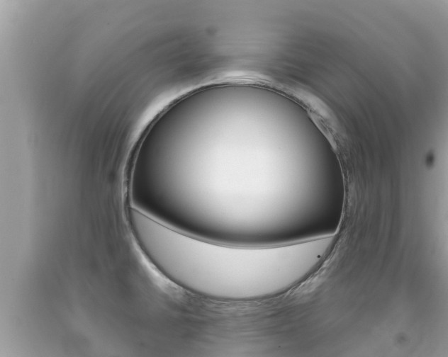X0000092221430200709140912