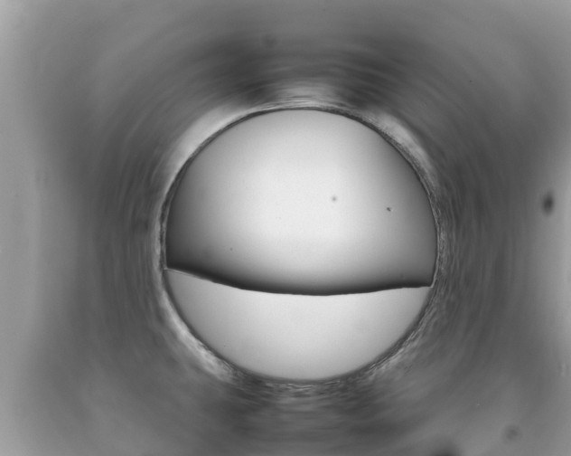 X0000092221431200709140912