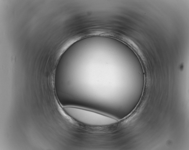 X0000092221433200709140912