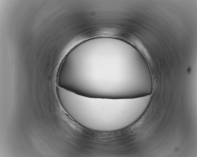X0000092221435200709140912