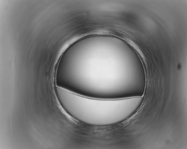 X0000092221437200709140912