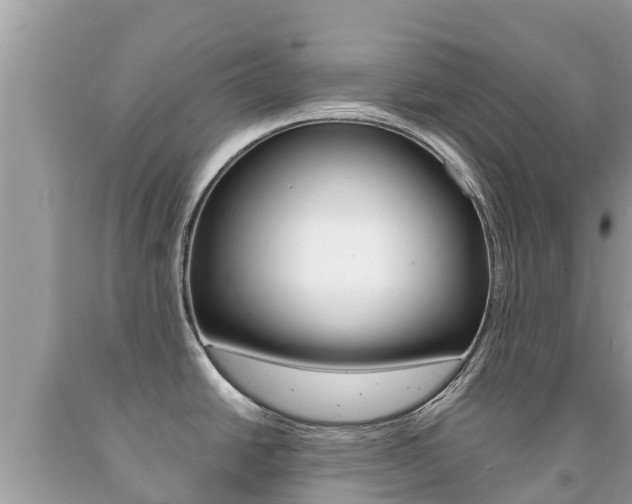 X0000092221438200709140912