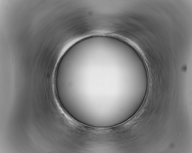 X0000092221440200709140912