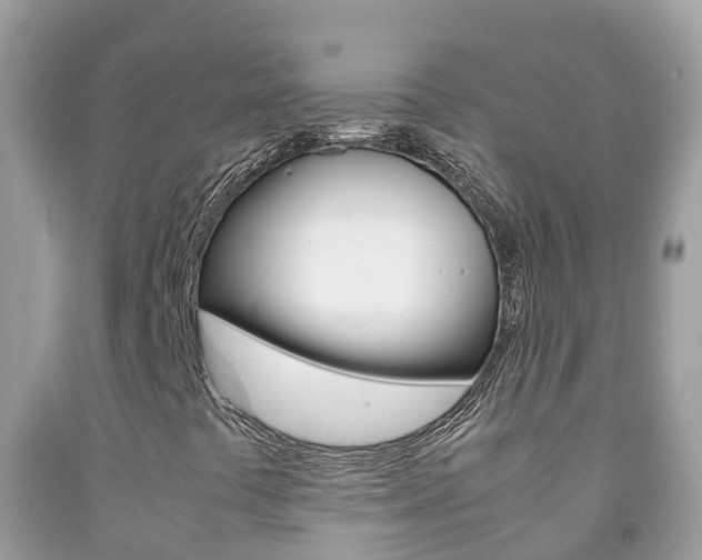 X0000092221441200709140912